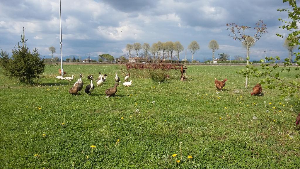 Al Vecchio Confine Cervignano del Friuli